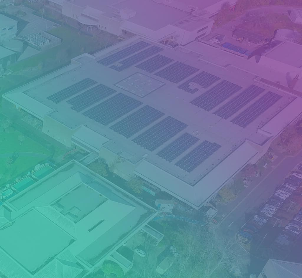 people work in offices with the nexum vpp platform